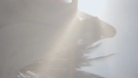 Silhouette of the bride through the veil Video stock 228412537