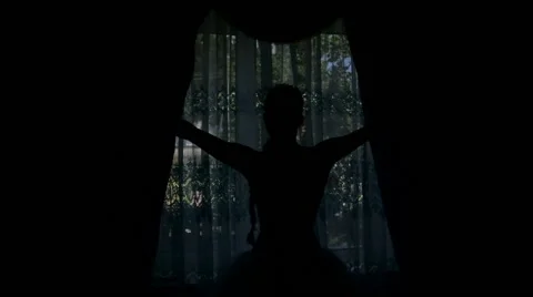 The silhouette of a bride at the window in house Stock Footage 63569340