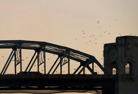 Silhouette of bridge with birds flying over Stock Photos