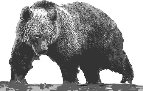 Silhouette of a brown bear in the river vector illustration.. Stock Illustration