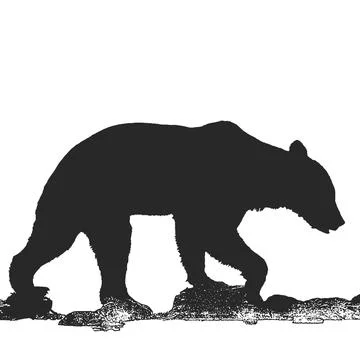 Silhouette of a brown bear on a white background Stock Illustration