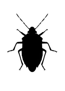 Silhouette of bug in back lighting Stock Photos