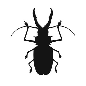Silhouette of bug isolated on white background. Vector illustration Stock Illustration