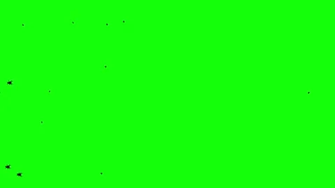 Silhouette Bugs and Ants Insects Walking on Green Background. Stock Footage 337459485