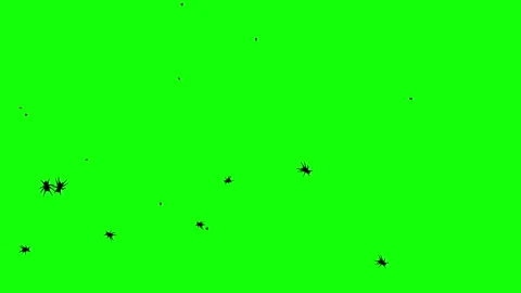 Silhouette Bugs and Ants Insects Walking on Green Background. Stock Footage 337519260