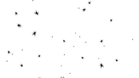 Silhouette Bugs and Ants Insects Walking on White Background. 스톡 동영상 337519351