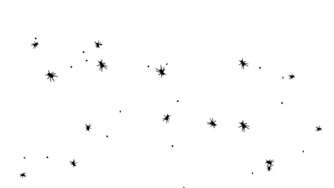 Silhouette Bugs and Ants Insects Walking on White Background. Stock Footage 337519352