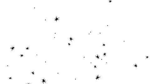 Silhouette Bugs and Ants Insects Walking on White Background. Stock Footage 337519353