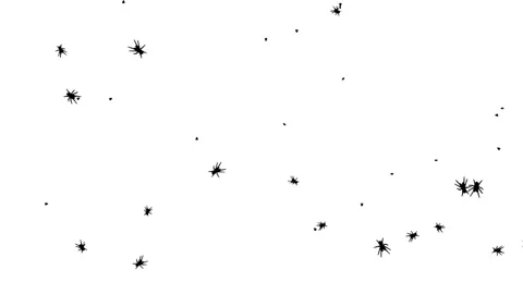 Silhouette Bugs and Ants Insects Walking on White Background. Stock Footage 337519354
