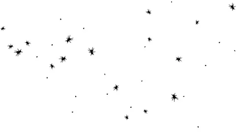 Silhouette Bugs and Ants Insects Walking on White Background. Stock Footage 337519355