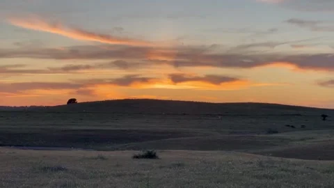 Silhouette of Bugs Flying in the Sunet Stock-Footage 154214563