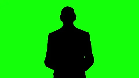 Silhouette of businessman explaining concept on green background. Stock Footage 337049500