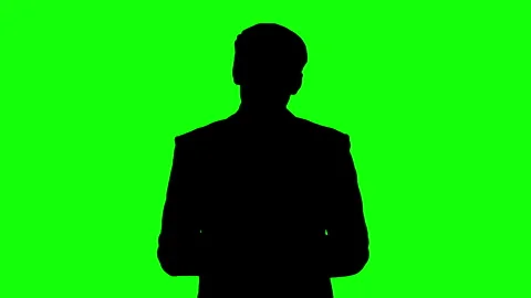 Silhouette of businessman explaining concept on green background. Stock Footage 340084334