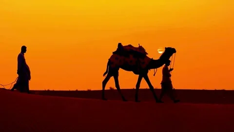 Silhouette of Camel and Handler at Sunset in Desert Landscape Stock Footage 308282199