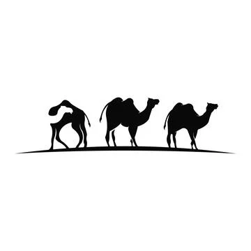 Silhouette of camel and young small camel, Vector camel Stock Illustration