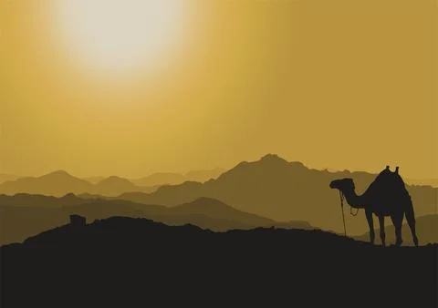 Silhouette of a camel at sunset vector Stock Illustration