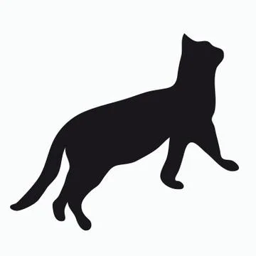 Silhouette of a cat Stock Illustration