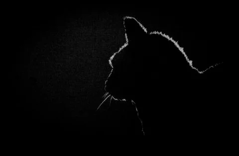Silhouette of a cat Stock Illustration