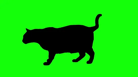Silhouette cat jumping and lying down on green background. Stock Footage 343621486