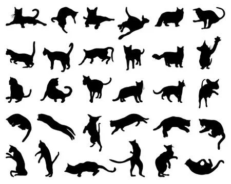 Silhouette of cats Stock Illustration