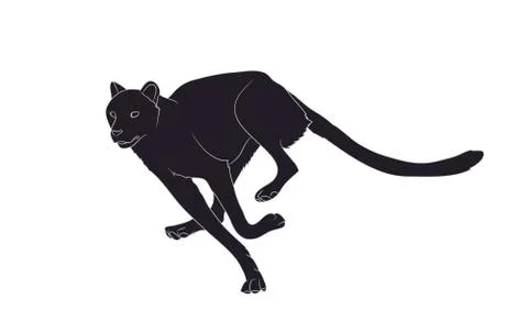 Silhouette of a cheetah that runs, vector Stock Illustration