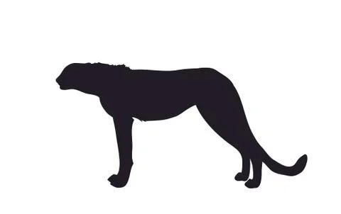 Silhouette of a cheetah that stands, vector Stock-Illustration