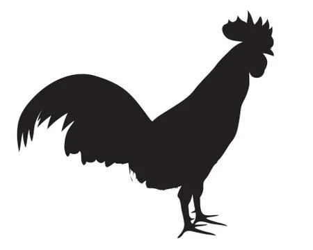 Silhouette chicken on white background vector design Stock Illustration