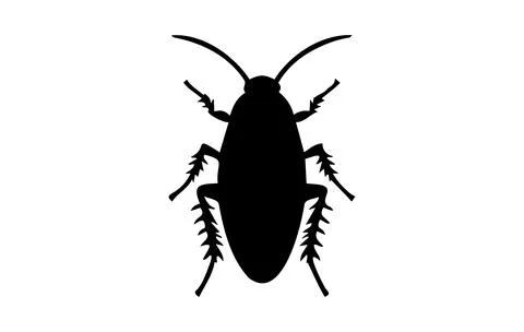 Silhouette of a cockroach on white backdrop. Black cockroach vector illustrat Stock Illustration