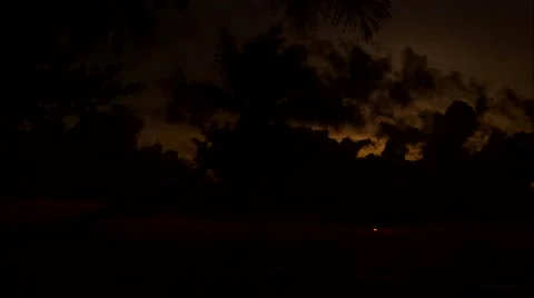 Silhouette of coconut on the beach. Stock Footage 62925948