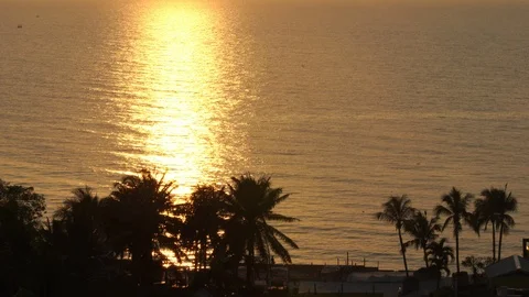 Silhouette coconut tree with sea background with golden light in sunrise or suns Stock Footage 106668359