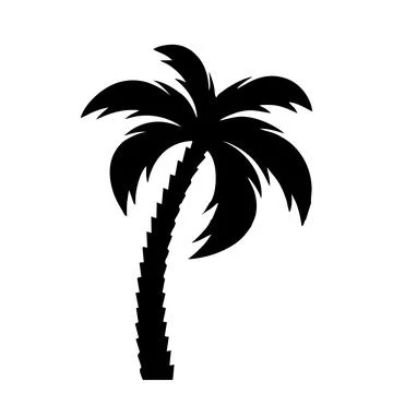Silhouette of a coconut tree on a white background. Stock Illustration
