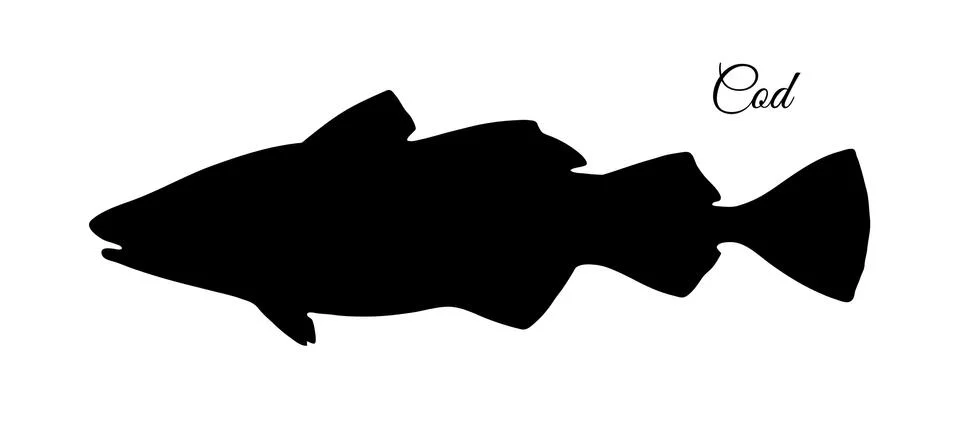 Silhouette of cod fish. Illustrazione stock