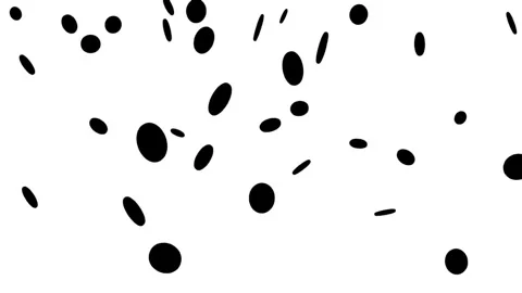 Silhouette coins falling down on the white background. Stock Footage 339044866