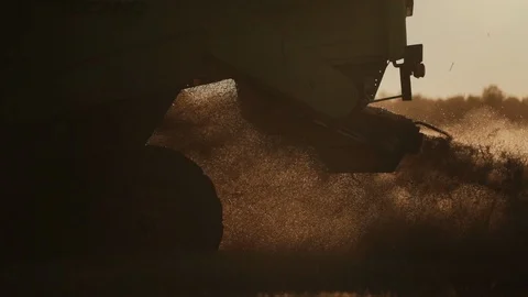 Silhouette of combine straw chopper 스톡 동영상 98103687