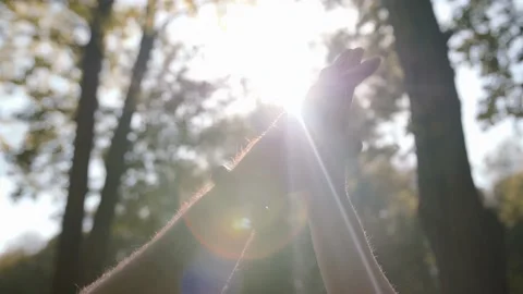 Silhouette of the couple hands Видео 196217937