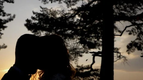 Silhouette of a couple in love Stock Footage 106947391
