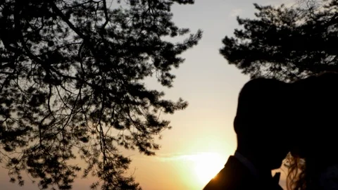 Silhouette of a couple in love Stock Footage 106947488