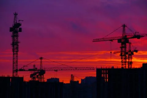 Silhouette of cranes Stock Photos
