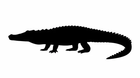 Silhouette of a Crocodile Stock Illustration