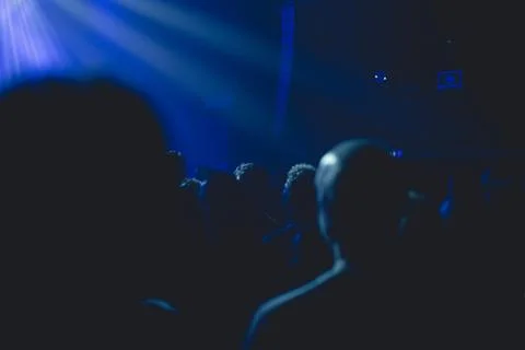 Silhouette of crowd in a night club. Stock Photos