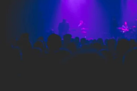 Silhouette of crowd at rock concert. Stock Photos