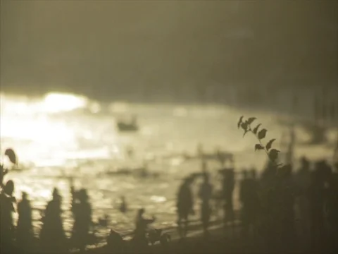 Silhouette crowds walk down the beach at sunset, golden light. Stock Footage 85012742