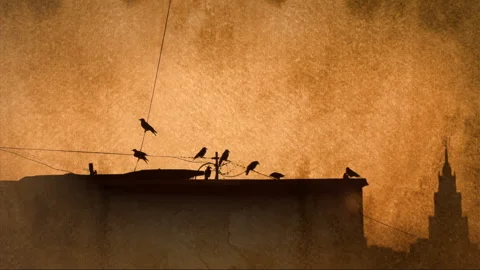 Silhouette of crows, vintage Stock Footage 254120761