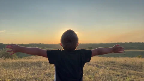 Silhouette of a cute boy, on a warm summer evening and dreaming about flying Stock Footage 247134190