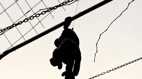Silhouette of cute teddy bear hanging on fence in sky Stock Footage 242355989