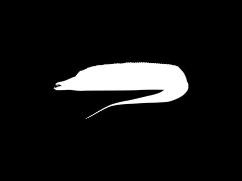 Silhouette of the Cutlass Fish, Flat Style Stock Illustration