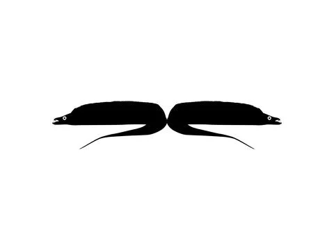 Silhouette of the Cutlass Fish, Flat Style Stock Illustration