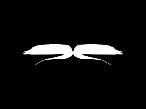 Silhouette of the Cutlass Fish, Flat Style Stock Illustration