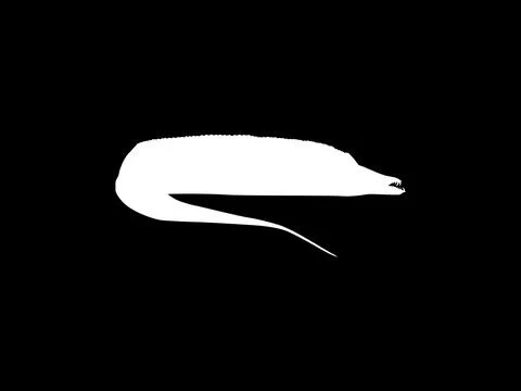 Silhouette of the Cutlass Fish, Flat Style Stock Illustration