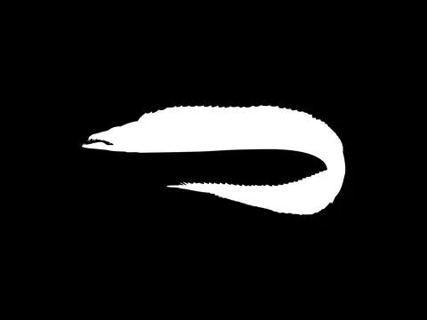 Silhouette of the Cutlass Fish, Flat Style Stock Illustration